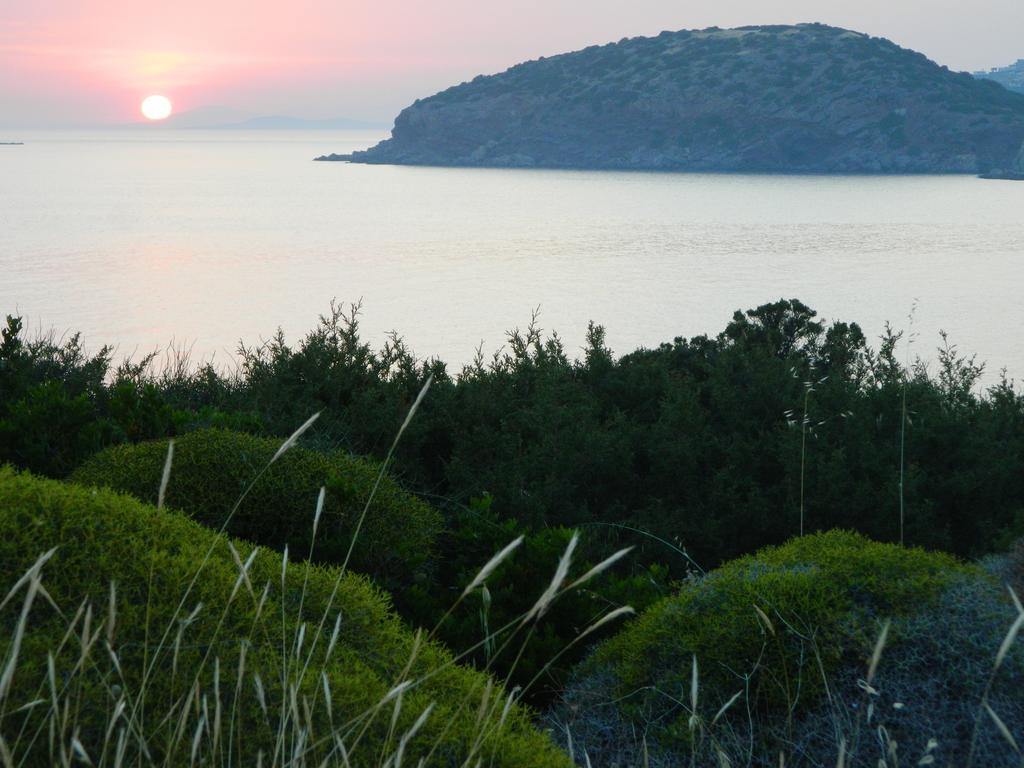Sounio Palea Heaven Palaia Fokaia Exterior foto